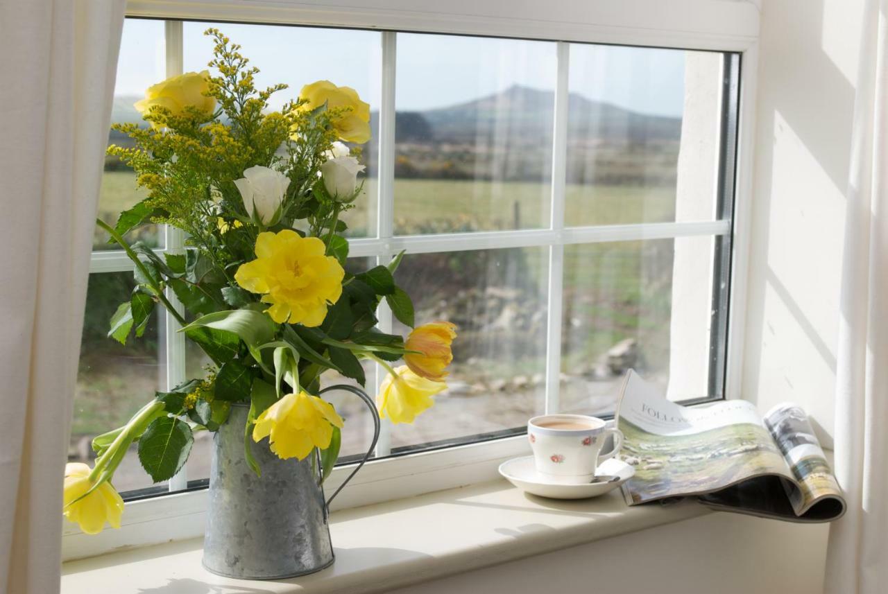 Llety Farm Bed & Breakfast St. Davids  Exterior photo